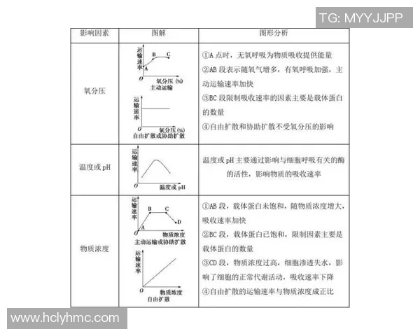南京网球队速度表现分析及其对比赛成绩的影响探讨